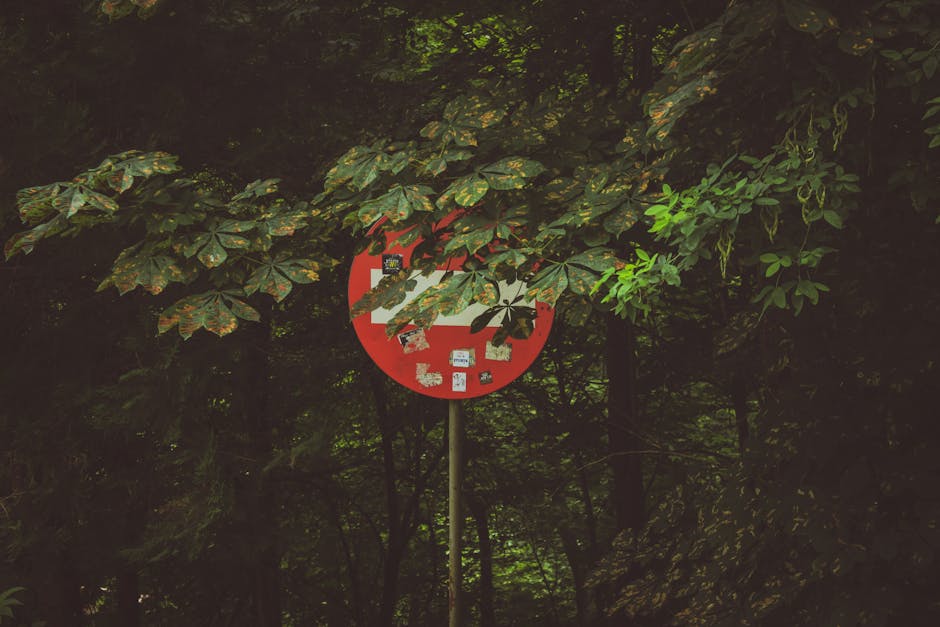 Why 75% of High Achievers Are Burning Out Without Even Realizing It